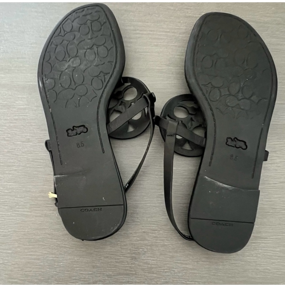 Coach Jaci Sandal in Black